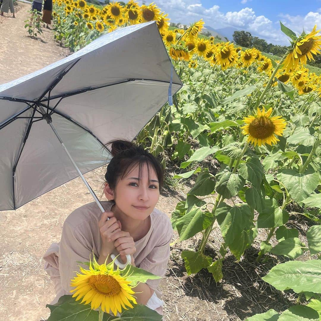 有馬綾香さんのインスタグラム写真 - (有馬綾香Instagram)「ひまわり畑🌻  新幹線とひまわりのコラボ頑張って撮りました🫶」8月12日 12時39分 - ayakaarima