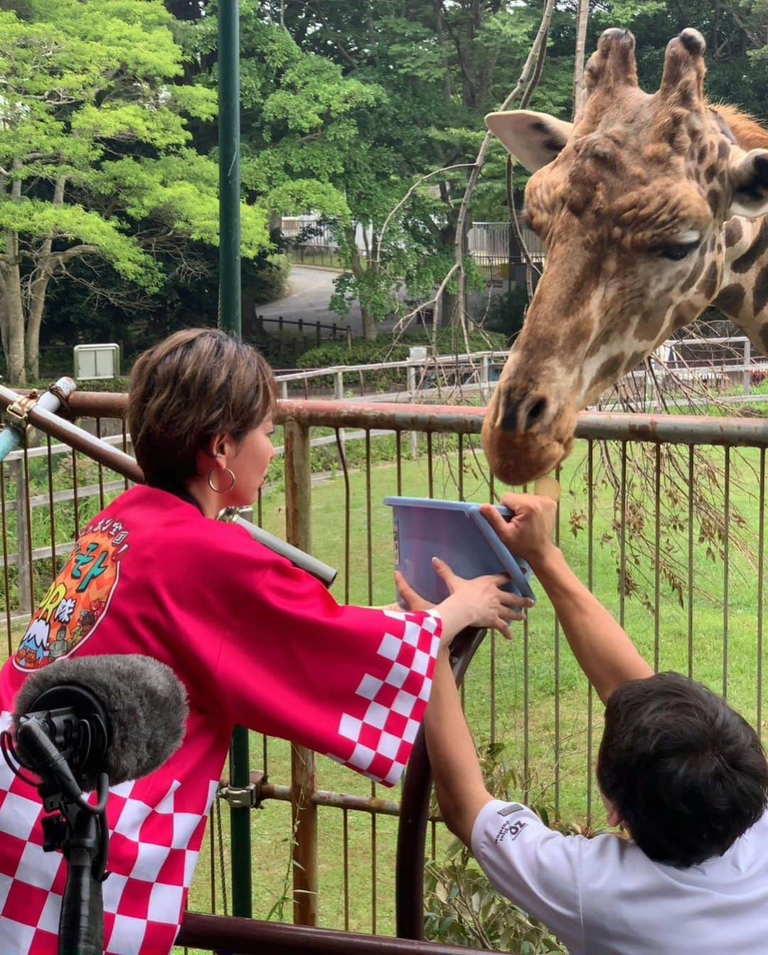 鈴木砂羽のインスタグラム