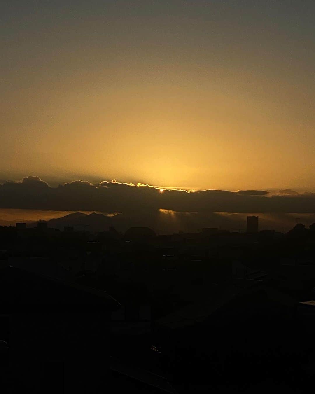 柴田紗希さんのインスタグラム写真 - (柴田紗希Instagram)「ぜんぶ！！！✨」8月12日 14時12分 - shibasaaki