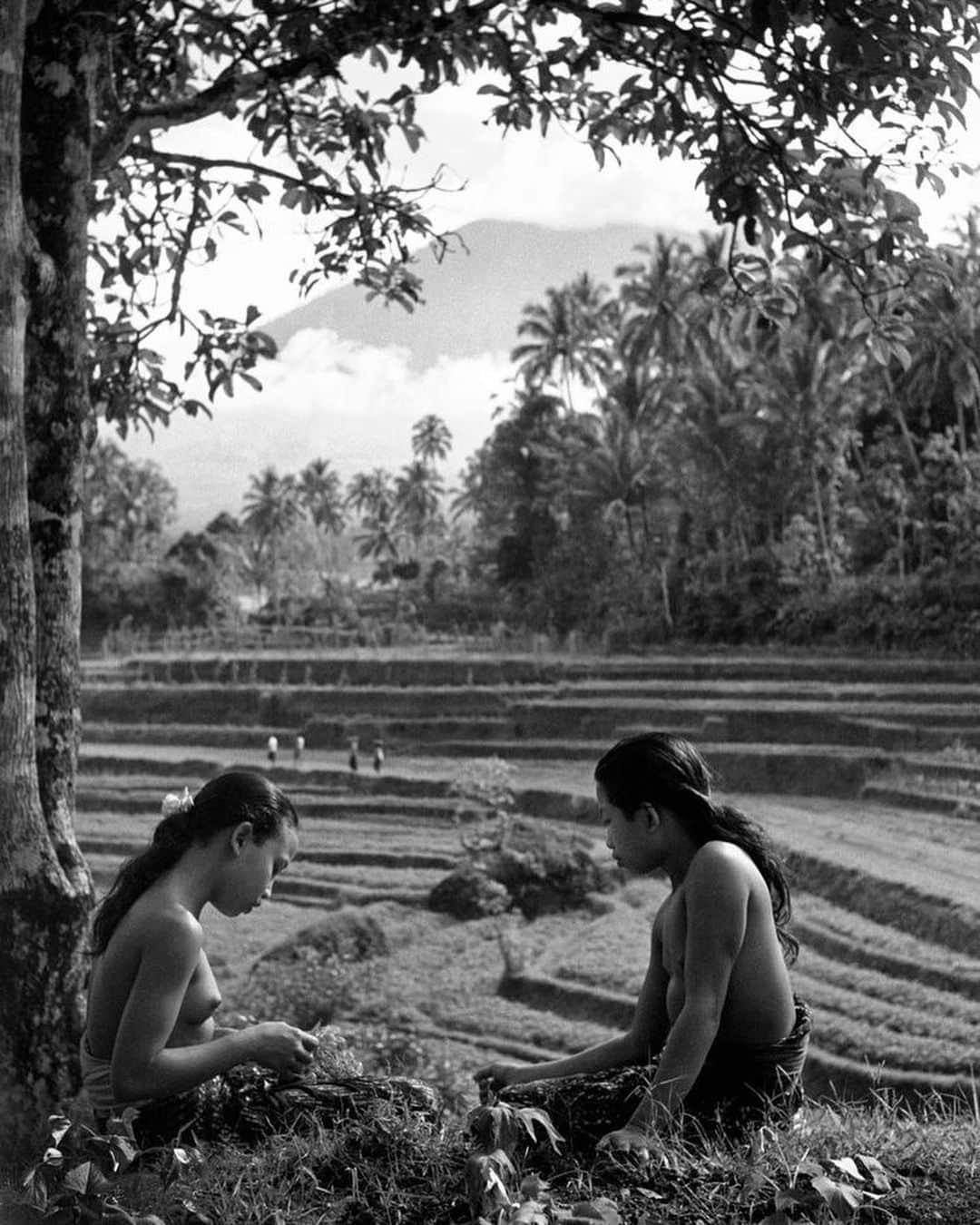 Inka Williamsさんのインスタグラム写真 - (Inka WilliamsInstagram)「Kuningan 🤍 Beautiful Bali asli forever 🤍 thank you for letting me be here. Thank you for teaching me. Thank you for protecting me. Thank you for inspiring me. 🙏🏽 suksma selalu Bali. • found these photos years ago on the internet , wish I could credit artists but 🤷‍♀️😢 ❤️ happy Kuningan to my Bali fam, praying that everyones  ancestors have a safe journey home 💕🌺🌸🌼💐🌷」8月12日 14時21分 - inkawilliams