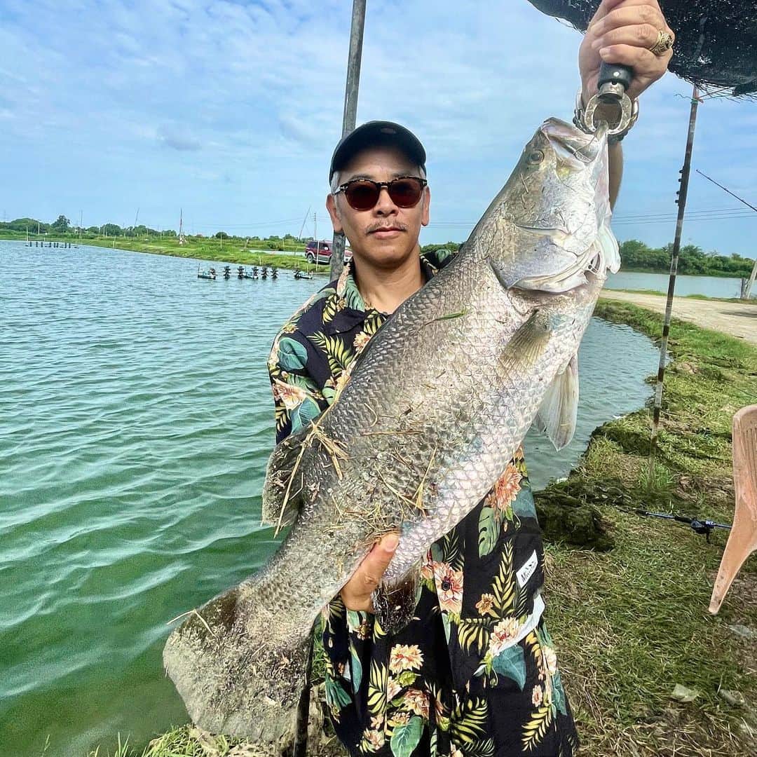 佐々木洋平のインスタグラム：「仕事前にバランディしてきた🎣  今回はタイのモンコンフィッシングパークにて  5キロのバラマンディー🐟  #fishing #fishinglife #バラマンディ」