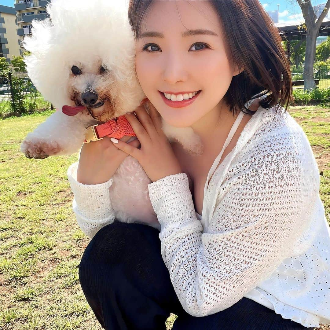 江頭ひなたさんのインスタグラム写真 - (江頭ひなたInstagram)「ドッグラン🐶 暑くて5分で退散💦  #真夏日 #ドッグラン #ビジョンフリーゼ #道産子」8月12日 14時45分 - hinataeto