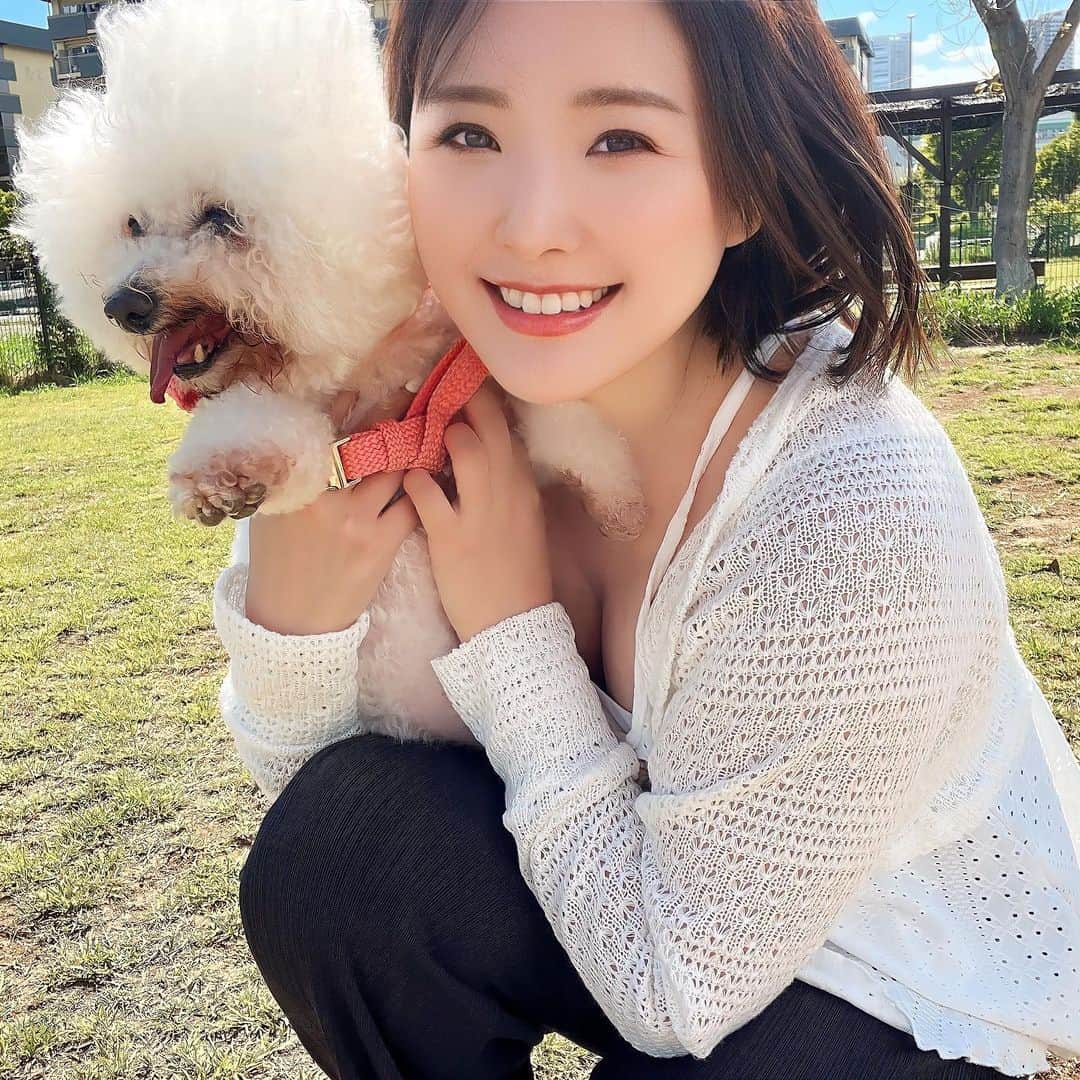 江頭ひなたのインスタグラム：「ドッグラン🐶 暑くて5分で退散💦  #真夏日 #ドッグラン #ビジョンフリーゼ #道産子」