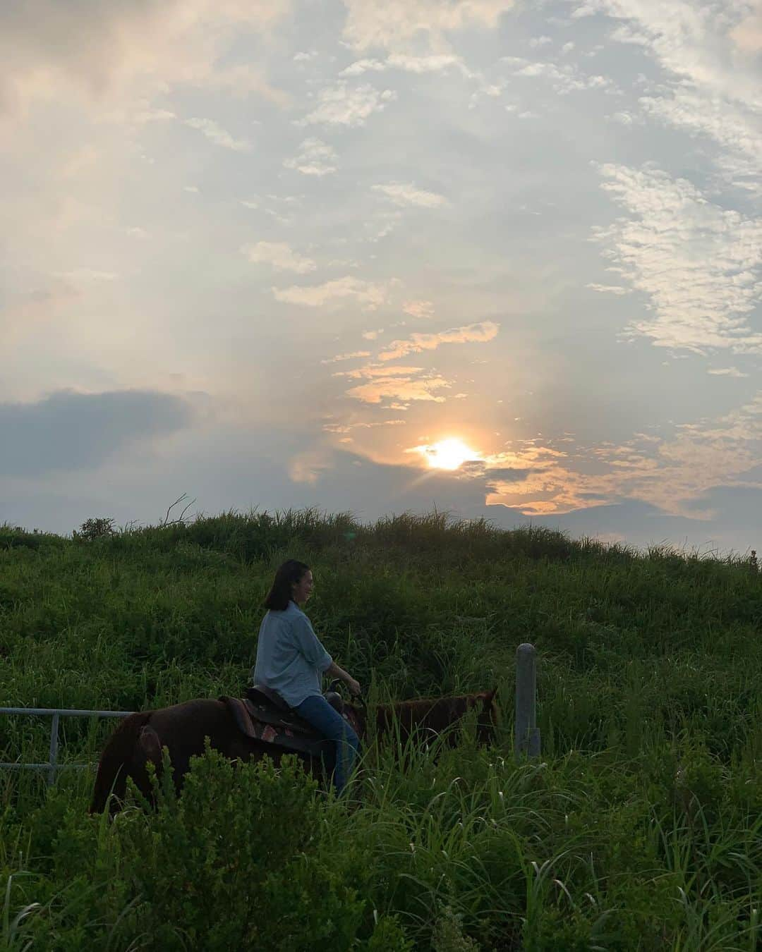 柴咲コウさんのインスタグラム写真 - (柴咲コウInstagram)「阿蘇にて、久方ぶりの乗馬🏇 この草原の中でお馬さんに乗れる気持ち良さよ。  9.10枚目、左手はともかく右腕の開き具合よ…  蜻蛉よ とまれよ」8月12日 20時51分 - ko_shibasaki