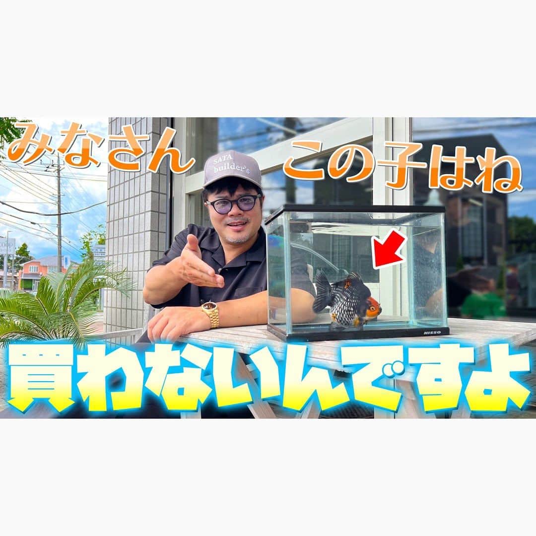佐田正樹のインスタグラム：「【がんばれ雪ちゃん】KAHALAでお迎えするのは、あの子‼︎  YouTube動画、本日17時アップします‼︎ 見らんとくらさるーぜ!!  #総長系YouTuber  #SATAbuilders #作田 #作田晴男 #佐田ビルダーズ」