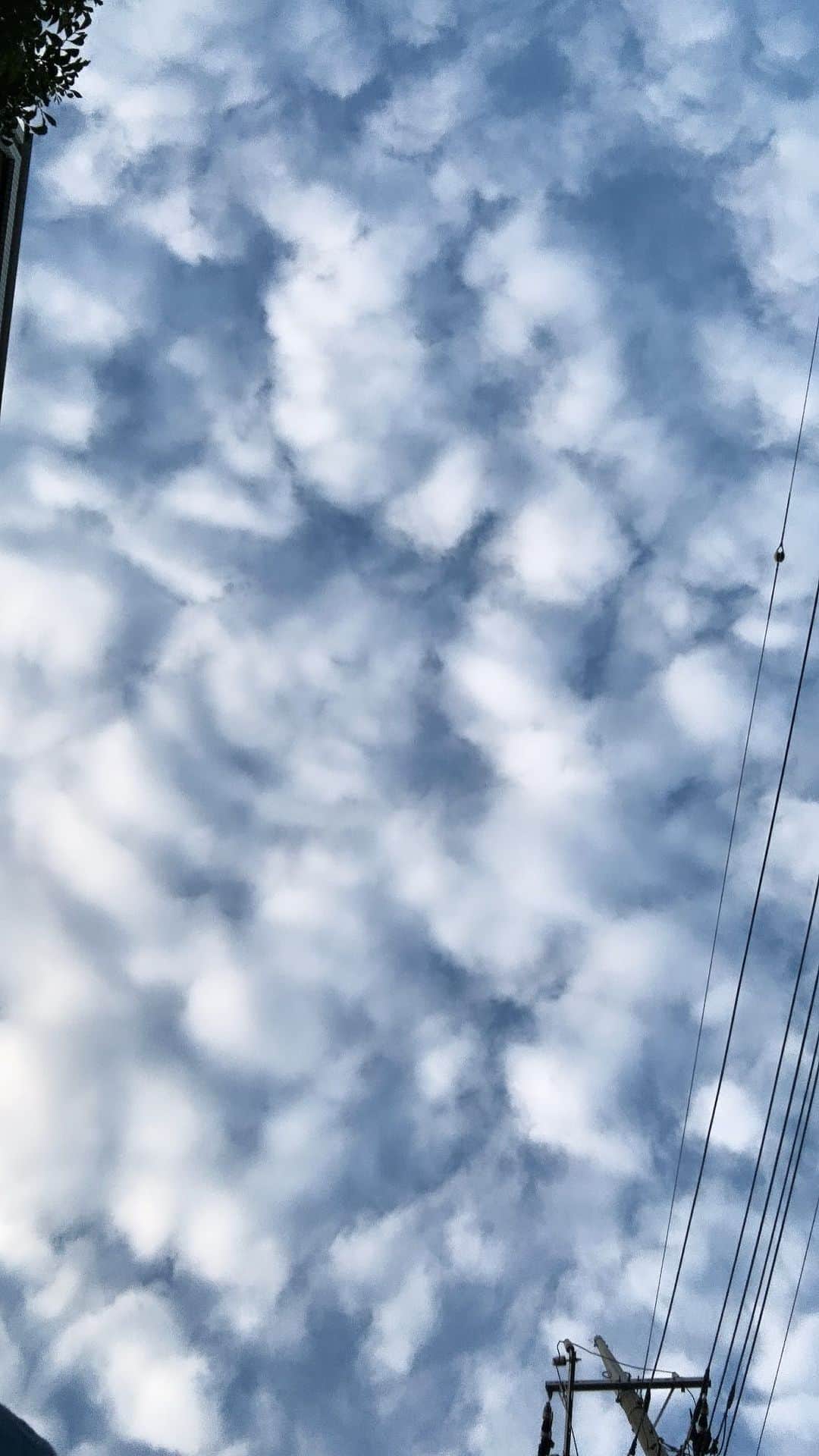 中嶋イッキュウのインスタグラム：「#RIJF☁️ #ジェニーハイ #夏フェス #夏嵐」