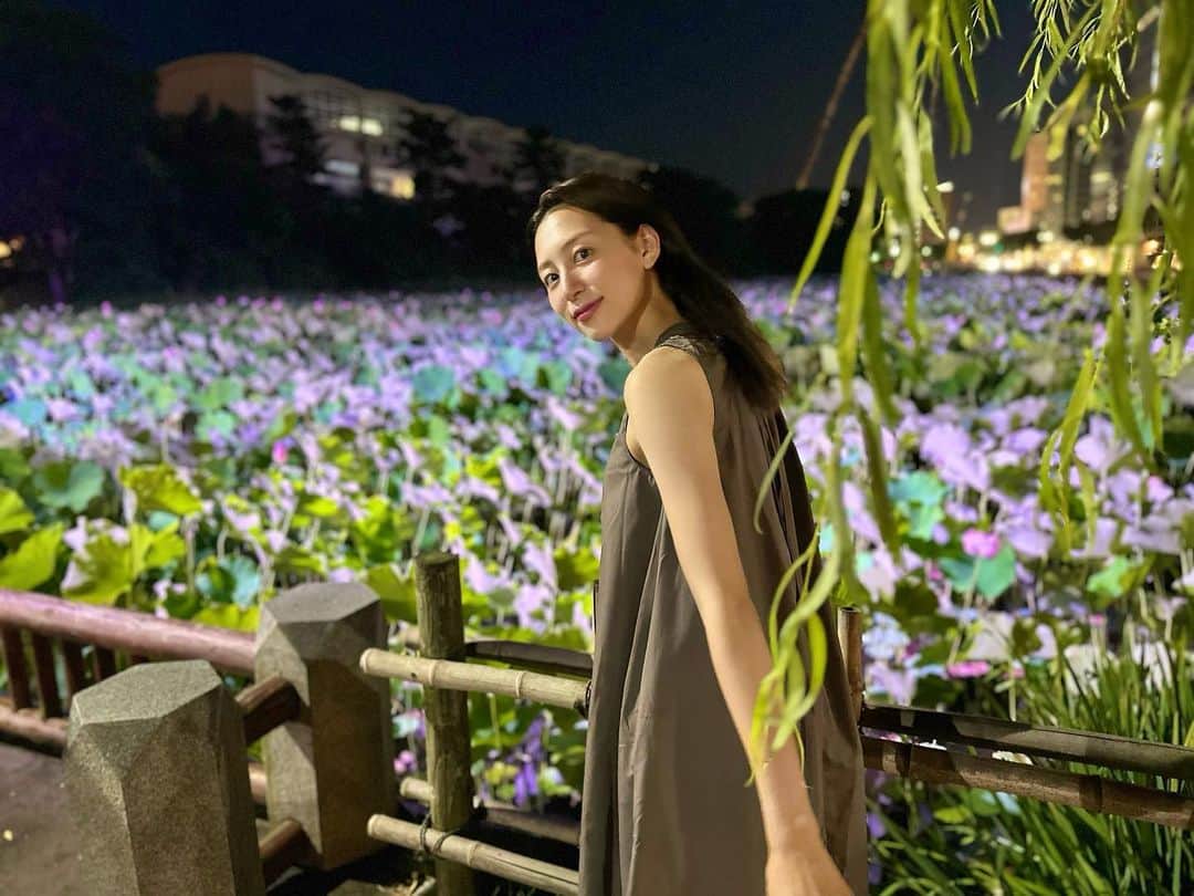 下京慶子のインスタグラム：「🪷 夜のお散歩。 #秋田市 #千秋公園 #蓮 #蓮の花」