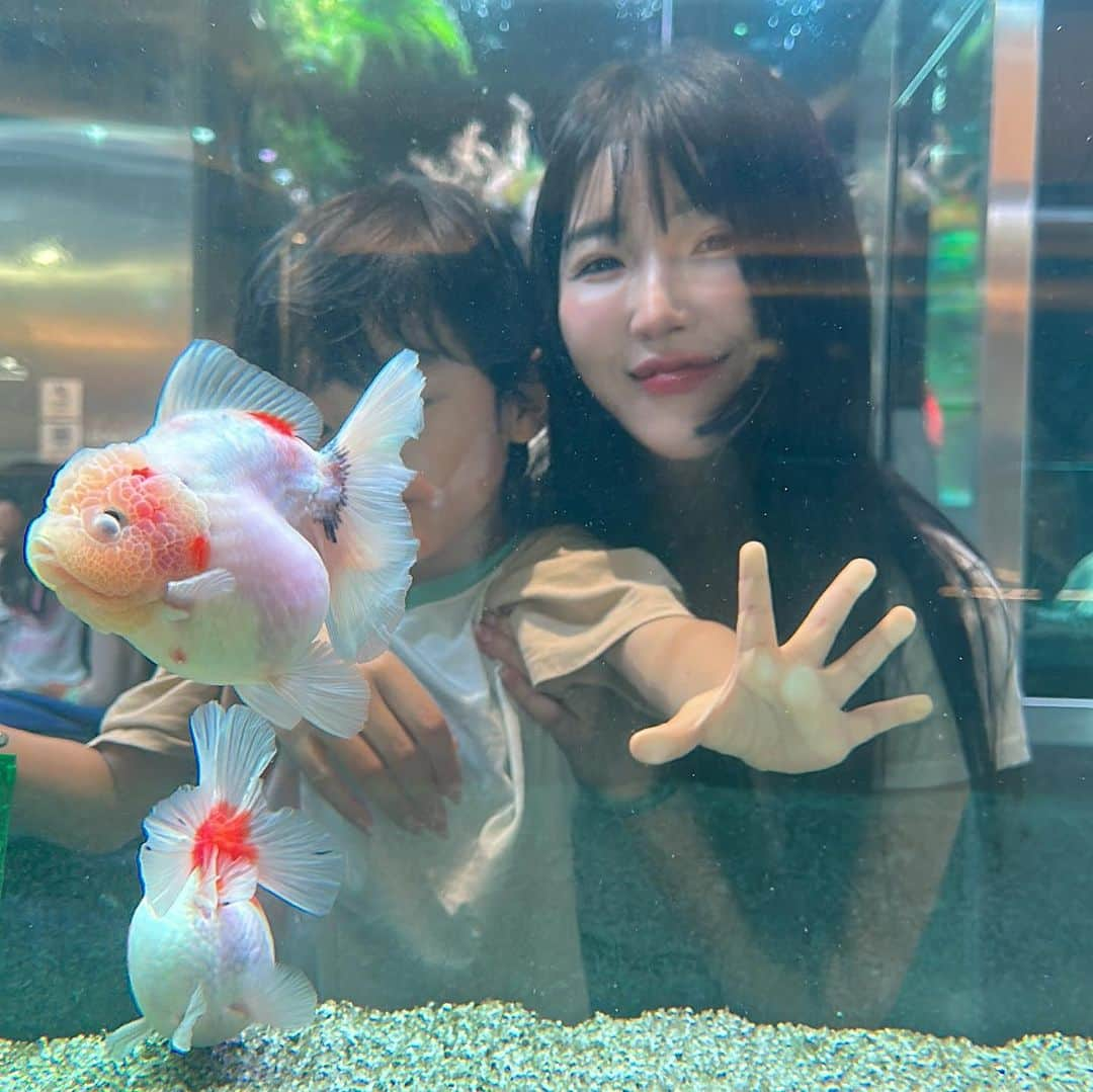 ゆかさんのインスタグラム写真 - (ゆかInstagram)「🐟🐠🐡 로한이 여기 좋아해서 또 왔다😂🤟🏻 . . . #seoul #seoulkorea #seoultravel #family #momlife #aquagarden #아쿠아가든 #잠실 #롯데월드타워 #ソウル #ソウル旅行 #ロッテワールドタワー #韓国 #」8月12日 17時32分 - bjyuka