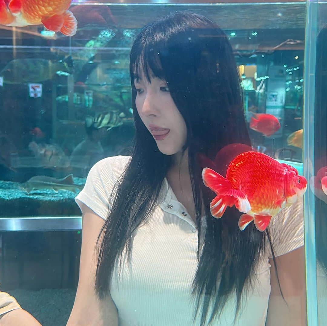 ゆかさんのインスタグラム写真 - (ゆかInstagram)「🐟🐠🐡 로한이 여기 좋아해서 또 왔다😂🤟🏻 . . . #seoul #seoulkorea #seoultravel #family #momlife #aquagarden #아쿠아가든 #잠실 #롯데월드타워 #ソウル #ソウル旅行 #ロッテワールドタワー #韓国 #」8月12日 17時32分 - bjyuka