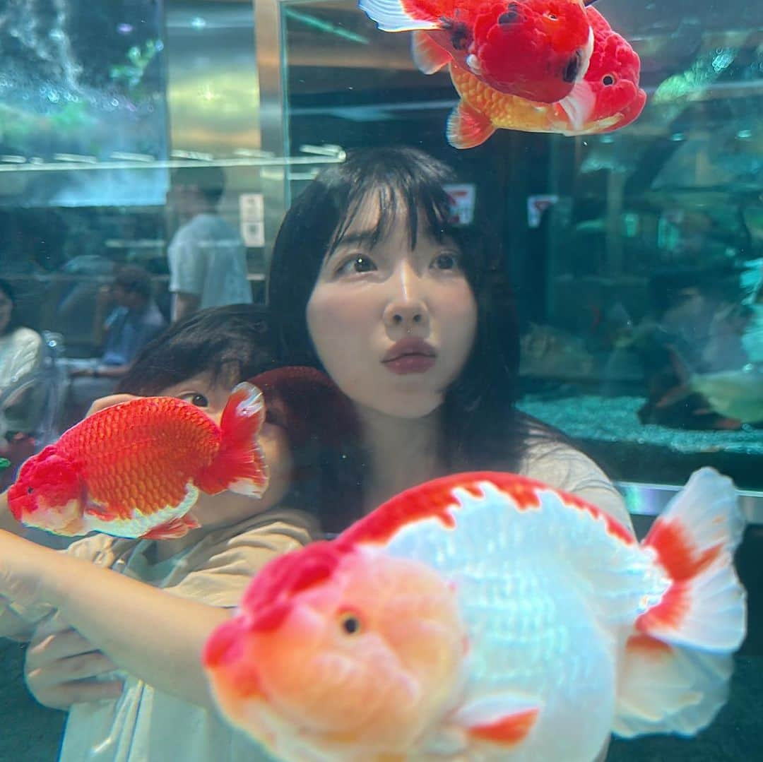 ゆかさんのインスタグラム写真 - (ゆかInstagram)「🐟🐠🐡 로한이 여기 좋아해서 또 왔다😂🤟🏻 . . . #seoul #seoulkorea #seoultravel #family #momlife #aquagarden #아쿠아가든 #잠실 #롯데월드타워 #ソウル #ソウル旅行 #ロッテワールドタワー #韓国 #」8月12日 17時32分 - bjyuka