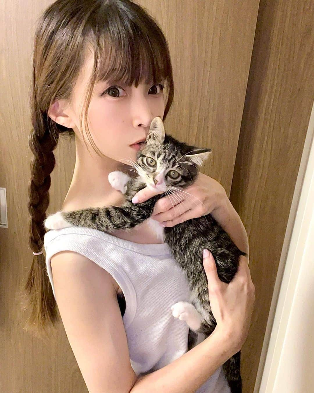 紗々木りんさんのインスタグラム写真 - (紗々木りんInstagram)「🐈‍⬛🩵  初盆のため 実家にきてます🎐  Julianはまだ赤ちゃんなので ひこうきに乗せることができず お友達に預かってもらってます🥹🩵  お友達からめっちゃ写真送られてきて 愛おしくて(ᐡ o̴̶̷̥᷄  ̫ o̴̶̷̥᷅ ᐡ)  ×××  #cat #catsofinstagram #catstagram  #catlife #catlover #cats_of_instagram  #ねこ #ねこすたぐらむ #ねこのいる生活  #ねこ部 #猫 #猫好き #猫好きさんと繋がりたい  #保護猫 #保護猫出身 #保護猫から家族」8月12日 17時35分 - rinn_sh_