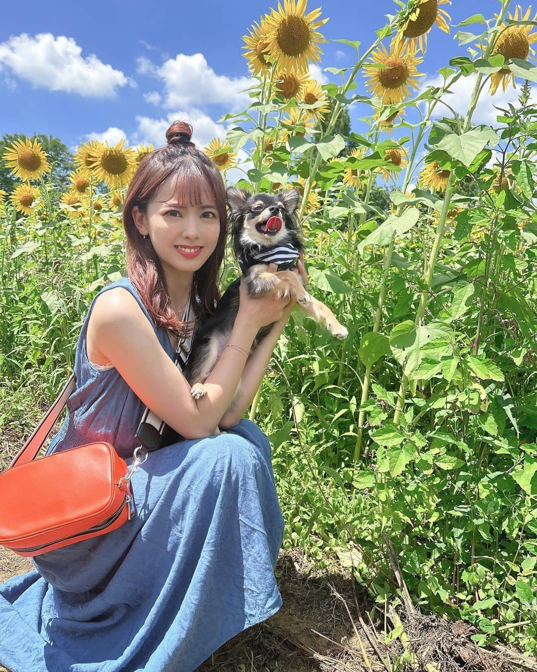 佐藤彩香さんのインスタグラム写真 - (佐藤彩香Instagram)「・ ・ ・ 座間のひまわりまつり🌻🌻 ・ 今年も行ってきました🌻🐶 やっぱりひまわり見ないと 夏は始まらない！！！(遅) ・ 切り花も買ってきて おうちにもひまわりが🌻🌻 ・ めちゃくちゃ暑くて汗汗って 感じだったけどわんわんズと 行けてよかったなあ🐶🐶🐶 ・ 夏の思い出増えました〜🌻🐝 ・ ・ ・ #座間ひまわりまつり #座間ひまわり畑 #ひまわり」8月12日 17時58分 - ayaka_01_sato