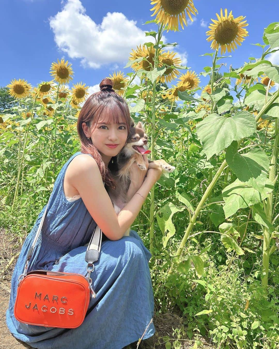 佐藤彩香さんのインスタグラム写真 - (佐藤彩香Instagram)「・ ・ ・ 座間のひまわりまつり🌻🌻 ・ 今年も行ってきました🌻🐶 やっぱりひまわり見ないと 夏は始まらない！！！(遅) ・ 切り花も買ってきて おうちにもひまわりが🌻🌻 ・ めちゃくちゃ暑くて汗汗って 感じだったけどわんわんズと 行けてよかったなあ🐶🐶🐶 ・ 夏の思い出増えました〜🌻🐝 ・ ・ ・ #座間ひまわりまつり #座間ひまわり畑 #ひまわり」8月12日 17時58分 - ayaka_01_sato