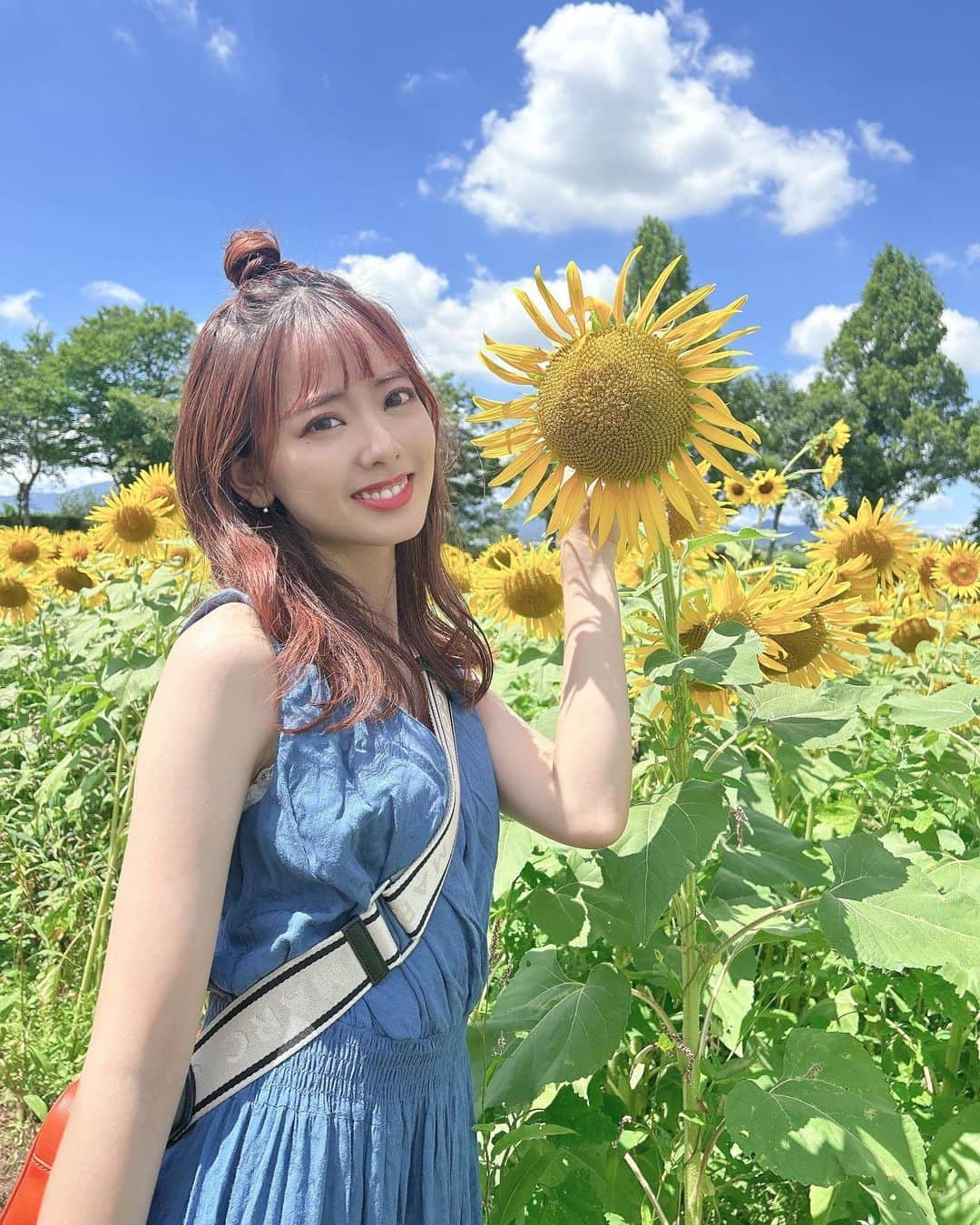 佐藤彩香のインスタグラム：「・ ・ ・ 座間のひまわりまつり🌻🌻 ・ 今年も行ってきました🌻🐶 やっぱりひまわり見ないと 夏は始まらない！！！(遅) ・ 切り花も買ってきて おうちにもひまわりが🌻🌻 ・ めちゃくちゃ暑くて汗汗って 感じだったけどわんわんズと 行けてよかったなあ🐶🐶🐶 ・ 夏の思い出増えました〜🌻🐝 ・ ・ ・ #座間ひまわりまつり #座間ひまわり畑 #ひまわり」