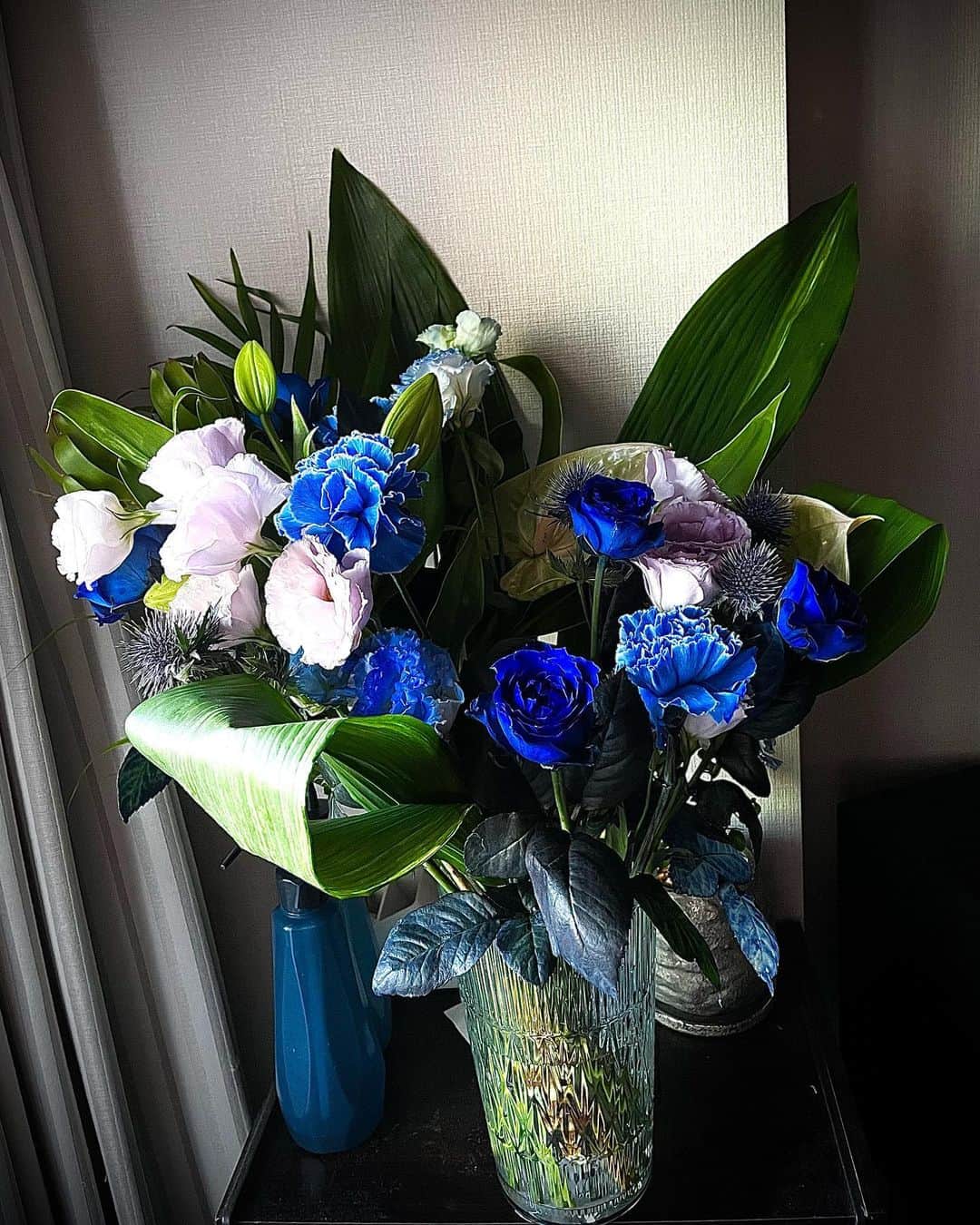 毎熊克哉さんのインスタグラム写真 - (毎熊克哉Instagram)「綺麗な青。 しばらくは咲いてておくれ☺️」8月12日 18時20分 - kmaiguma