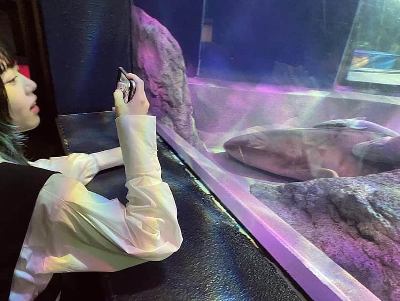 八木海莉さんのインスタグラム写真 - (八木海莉Instagram)「しながわ水族館で撮影させて頂きました🪼」8月12日 18時28分 - reu__loon