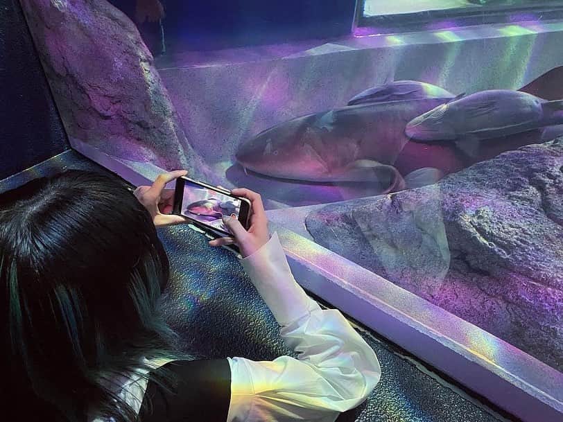 八木海莉のインスタグラム：「しながわ水族館で撮影させて頂きました🪼」