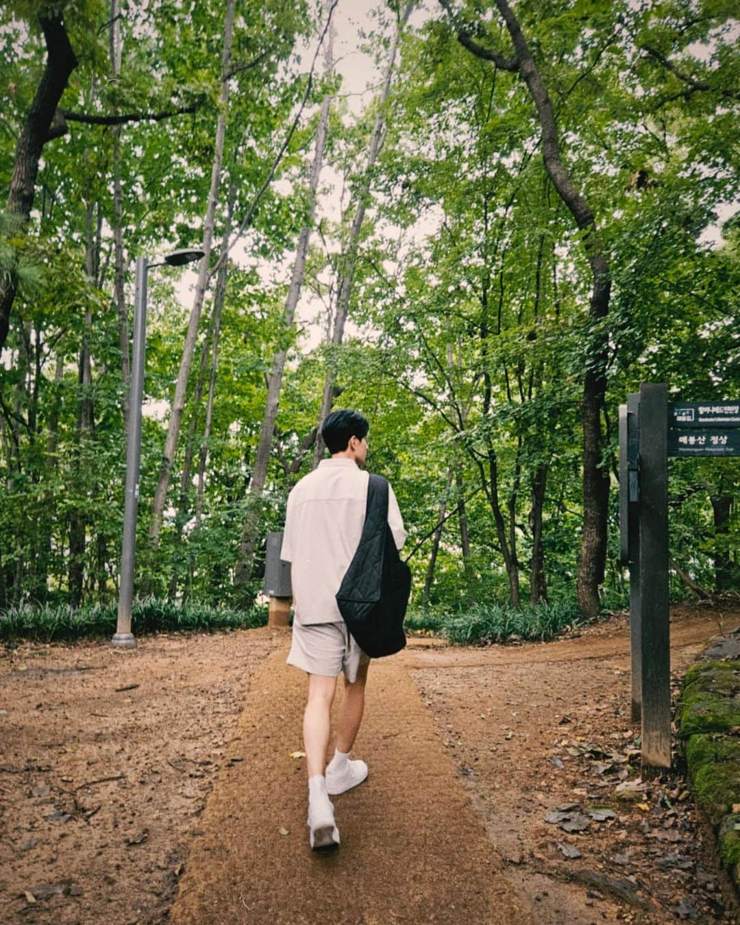 ドギョムさんのインスタグラム写真 - (ドギョムInstagram)「🌳」8月12日 18時31分 - dk_is_dokyeom