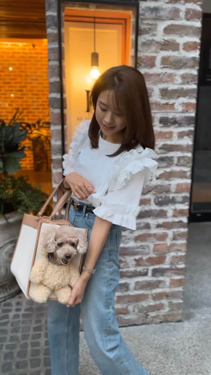 曽田茉莉江のインスタグラム：「可愛すぎるわんこバックを購入しました🐶 くぅたんお顔がひょこっとぬいぐるみみたい🧸  これを持ってドックカフェに行ったら 大注目でした🤣🤣このバックは可愛すぎる🥹  tops @m_maglie_le_cassetto_official   #ドックカフェ#犬カフェ#トイプードル #トイプー#トイプードル女の子 #くぅたん」