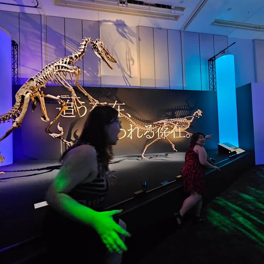 折原ゆかりさんのインスタグラム写真 - (折原ゆかりInstagram)「『DinoScience 恐竜科学博 2023 @TOKYOMIDTOWN』  the TODAY'SWOMAN Japan 2023 Beauty camp 中に ファイナリストで観に行かせて頂きました！  『恐竜科学博』では、恐竜時代全体を広く俯瞰するのではなく、 トリケラトプスやティラノサウルスの生きた世界をテーマにしていました。 だからこそ、深く、印象的で 面白かったです。  影にもこだわっていて、観る角度から 違った見え方が楽しめました。 幻想的! ×科学って言うのがポイントだと思いました！  どこまで恐竜たちの世界に近づくことができたのか、 ぜひ本展で見届けてください。  企画・監修：恐竜くん  TOKYO MXさん、ありがとうございました！  現在開催中です。 2023年7月21日（金)～9月12日（火）  会場 東京ミッドタウン・ホール （東京都港区赤坂9-7-2） 「六本木駅」都営大江戸線 直結・東京メトロ日比谷線 地下通路より直結  【公式】DinoScience  恐竜科学博  ＠dinoscience_jpn  elegant class entry no.8 Yukari  The 3st the Today's Woman beauty pageant 2023 9th October 2023 in Yamano hall yoyogi tokyo  @steven_a_haynes  @shein_japan @tokyomx.9ch  @todayswomanplus #ミスコンテスト #ミスコン #プラスサイズミスコン  #StevenHaynes #TodaysWoman #TodaysWoman2023 #TodaysWomanPlus #TodaysWomanJapan #plussize #SHEIN #SHEINforall #ぽっちゃり女子 #diversity  #チャンスは平等 #sheincurve #elegantclassentryno.8」8月12日 18時58分 - yukariorihara