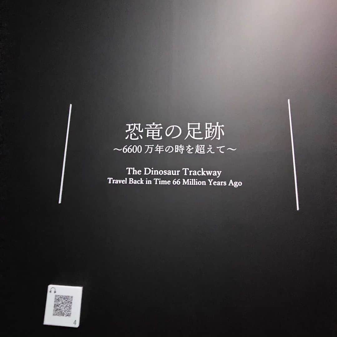 折原ゆかりさんのインスタグラム写真 - (折原ゆかりInstagram)「『DinoScience 恐竜科学博 2023 @TOKYOMIDTOWN』  the TODAY'SWOMAN Japan 2023 Beauty camp 中に ファイナリストで観に行かせて頂きました！  『恐竜科学博』では、恐竜時代全体を広く俯瞰するのではなく、 トリケラトプスやティラノサウルスの生きた世界をテーマにしていました。 だからこそ、深く、印象的で 面白かったです。  影にもこだわっていて、観る角度から 違った見え方が楽しめました。 幻想的! ×科学って言うのがポイントだと思いました！  どこまで恐竜たちの世界に近づくことができたのか、 ぜひ本展で見届けてください。  企画・監修：恐竜くん  TOKYO MXさん、ありがとうございました！  現在開催中です。 2023年7月21日（金)～9月12日（火）  会場 東京ミッドタウン・ホール （東京都港区赤坂9-7-2） 「六本木駅」都営大江戸線 直結・東京メトロ日比谷線 地下通路より直結  【公式】DinoScience  恐竜科学博  ＠dinoscience_jpn  elegant class entry no.8 Yukari  The 3st the Today's Woman beauty pageant 2023 9th October 2023 in Yamano hall yoyogi tokyo  @steven_a_haynes  @shein_japan @tokyomx.9ch  @todayswomanplus #ミスコンテスト #ミスコン #プラスサイズミスコン  #StevenHaynes #TodaysWoman #TodaysWoman2023 #TodaysWomanPlus #TodaysWomanJapan #plussize #SHEIN #SHEINforall #ぽっちゃり女子 #diversity  #チャンスは平等 #sheincurve #elegantclassentryno.8」8月12日 18時58分 - yukariorihara