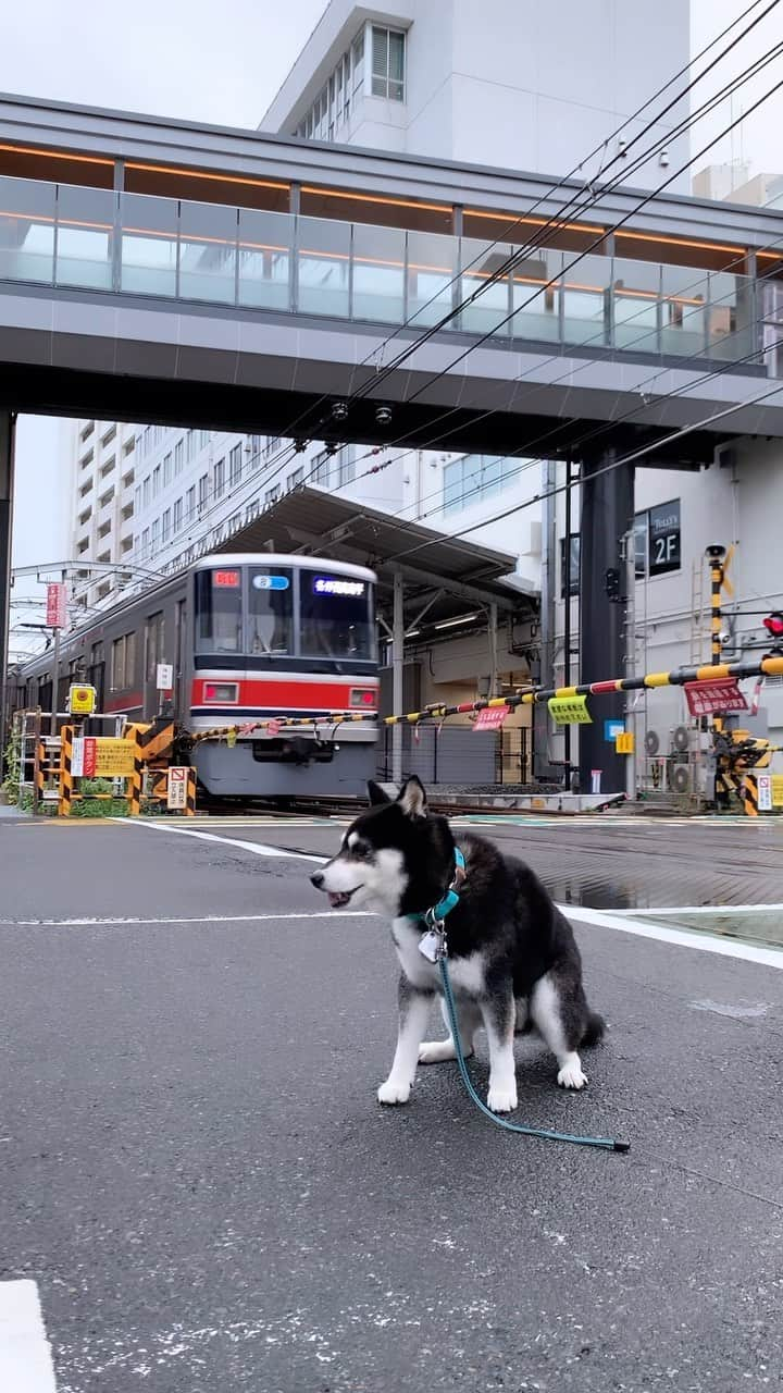 くろのインスタグラム