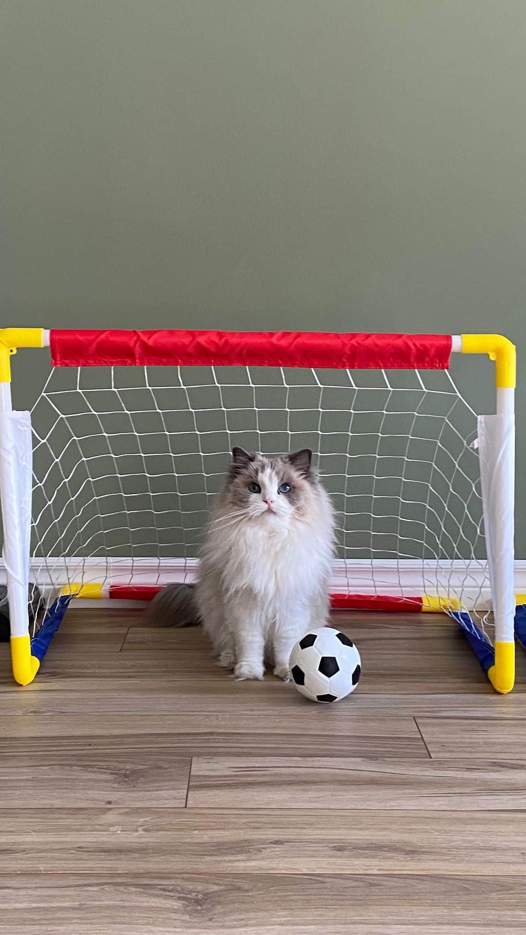 Princess Auroraのインスタグラム：「Aurora & Levi play football in honor of Women’s World Cup 2023 ⚽️ 🏆 Who are you rooting for? We are supporting #teamsweden 🇸🇪 #fifa #womensworldcup」