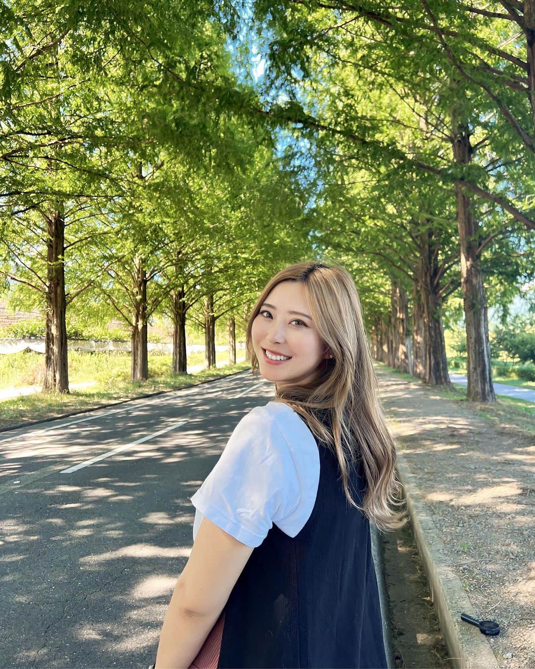 のインスタグラム：「🌳🍃  滋賀県内でお盆満喫👍🏼   #メタセコイア並木   #滋賀」