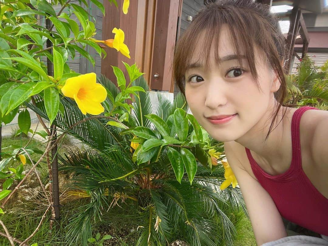 菅井友香さんのインスタグラム写真 - (菅井友香Instagram)「春から秋にかけて中潮から大潮の干潮時だけ現れる幻の白砂の島、百合ヶ浜🐚  綺麗だったな、もう一度行きたいな✨  #与論島  #百合ヶ浜  #流れ星も見えたよ  #大切なもの」8月12日 22時00分 - yuuka_sugai_official