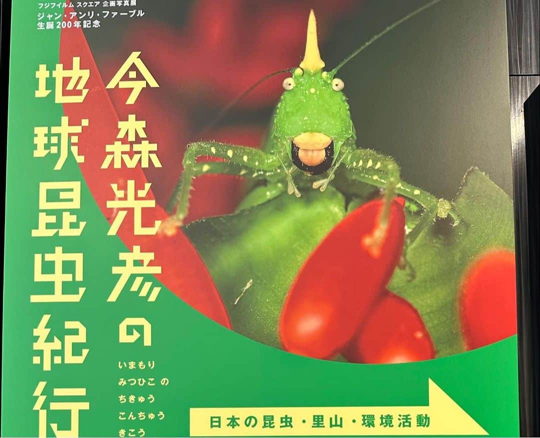 小谷あゆみのインスタグラム：「東京ミッドタウンで開催されている写真展 「今森光彦の地球昆虫紀行」とトークショーに行ってきました。 無料！ 今森さんといえば、里山の写真家だとわたしは思っていたのだが、昆虫写真の方がむしろ有名らしい。  今森光彦さんの名前を知ったのは、３０年近く前、ＮＨＫで里山を追うドキュメンタリーであった。  ブログに記事を書きました。  ＃フンコロガシ ＃糞ボール ＃虫の協調性 ＃昆虫の社会性 ＃滋賀県 ＃仰木の棚田 ＃環境農家 ＃里山の再生が主でコメは副産物」