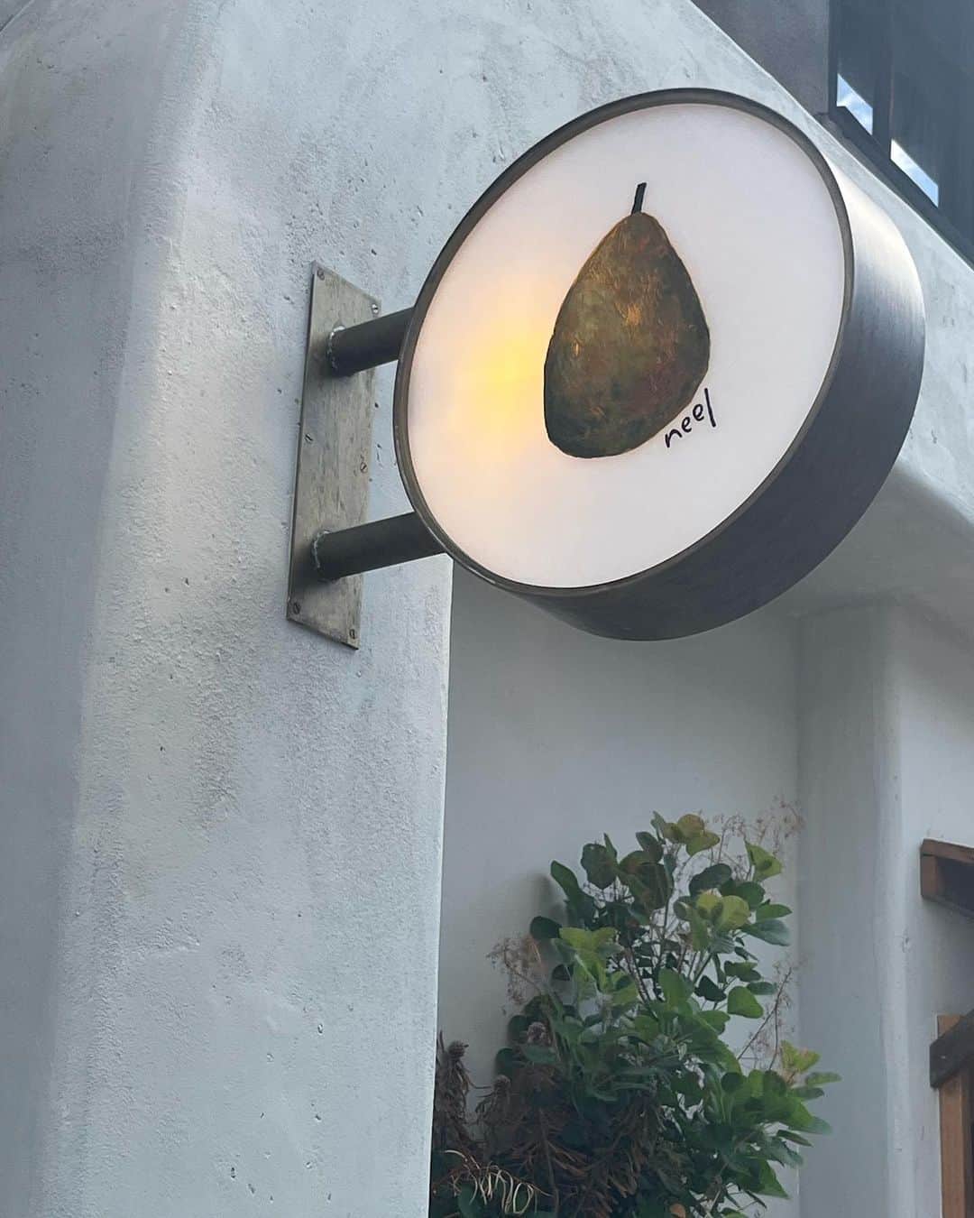 坂下真心のインスタグラム：「🍐🪑🥛🌿‬」