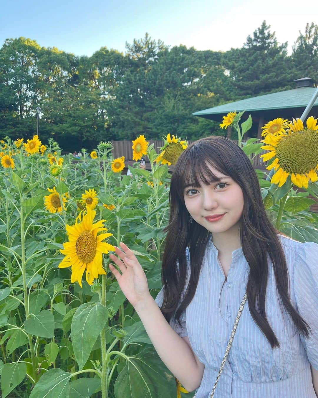 菅井純愛のインスタグラム：「・  向日葵🌻   #ひまわり  #ひまわり畑  #向日葵  #向日葵畑  #sunflower  #sunflowerfield  #葛西臨海公園  #06  #06년생  #06line  #jk  #jk2  #sjk  #高校生  #高身長女子  #173cm  #夏コーデ  #夏休み  #summervibes  #summerstyle  #ootd  #고등학생  #해바라기  #여름휴가  #bunga  #highschoolgirls  #japanesegirl  #japanphoto  #일본  #오오티디」