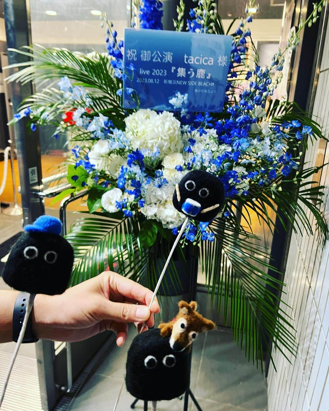 猪狩翔一さんのインスタグラム写真 - (猪狩翔一Instagram)「鹿の仔どうもありがとう🦌 #集う鹿  #tacica」8月12日 22時39分 - shouichi_igari