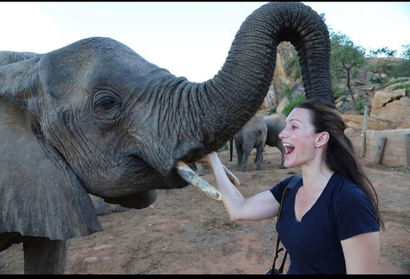 クリスティン・デイヴィスさんのインスタグラム写真 - (クリスティン・デイヴィスInstagram)「It’s #worldelephantday ! Other than  my children,  these are the loves of my life! Such a joy to be near them and to get to be around the people working on the ground to ensure their safety ♥️ @sheldricktrust」8月12日 22時45分 - iamkristindavis