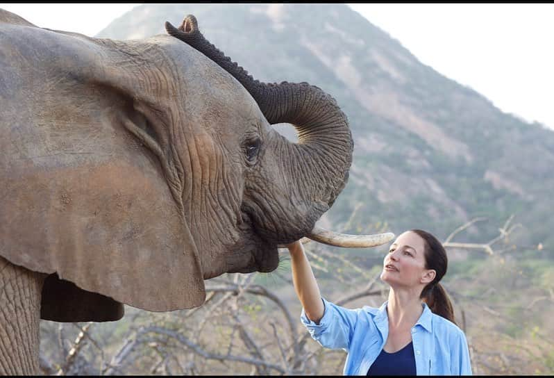 クリスティン・デイヴィスさんのインスタグラム写真 - (クリスティン・デイヴィスInstagram)「It’s #worldelephantday ! Other than  my children,  these are the loves of my life! Such a joy to be near them and to get to be around the people working on the ground to ensure their safety ♥️ @sheldricktrust」8月12日 22時45分 - iamkristindavis