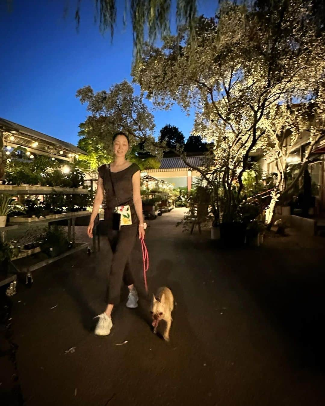 川原亜矢子のインスタグラム：「夜散歩✨ #tokyo #nightwalk #frenchbulldog  #firework #神宮外苑花火大会 #フレンチブルドッグ #フレブル」