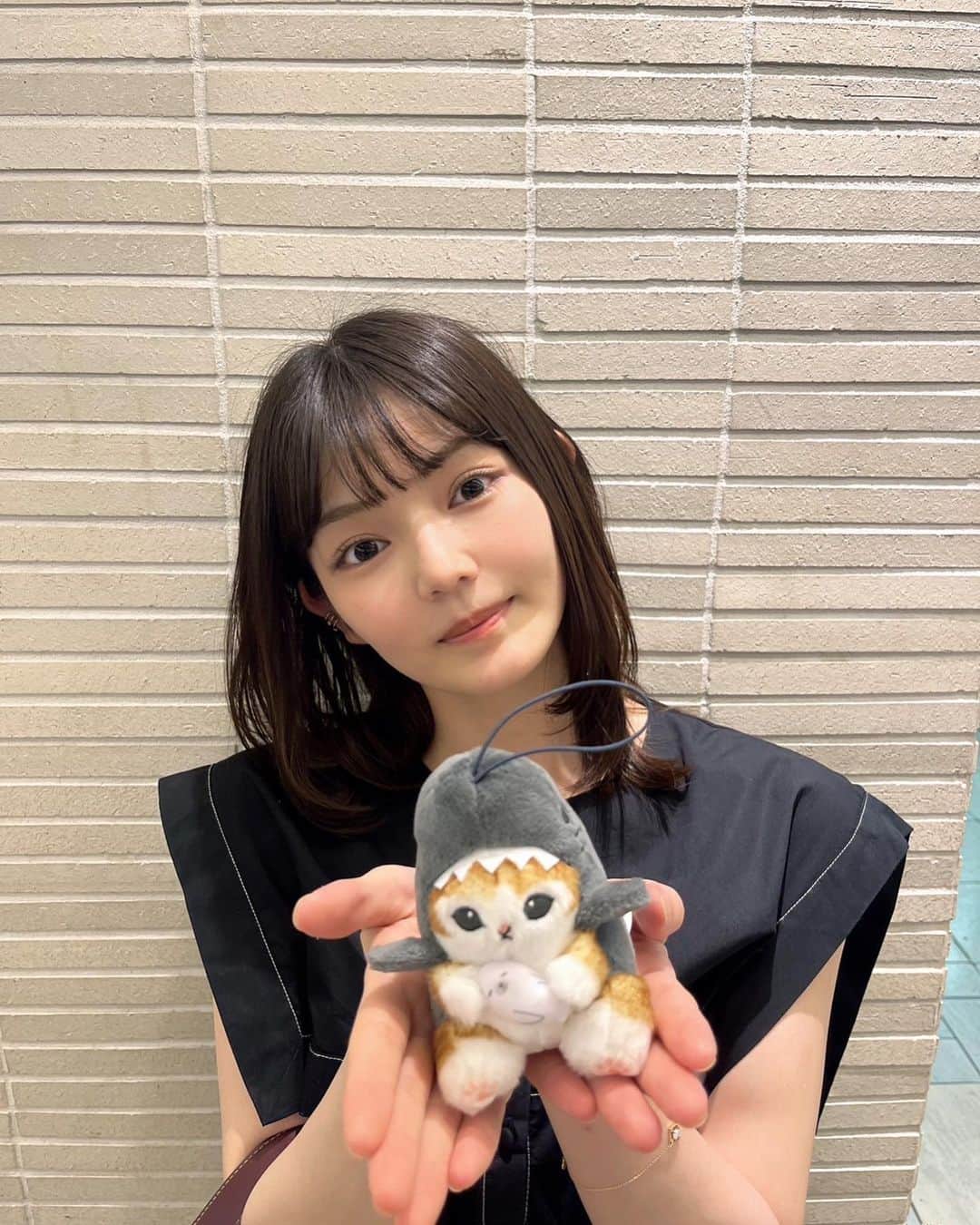 のインスタグラム：「.  .  .  Twitterにも載せた、サメにゃん  久しぶりにUFOキャッチャーした🪄🥺🛸」
