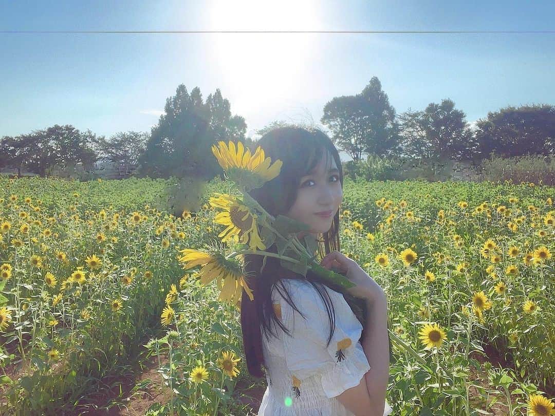 久保亜沙香のインスタグラム：「明日の御墓参り用の花も刈ってきた！🌻🌻🌻」
