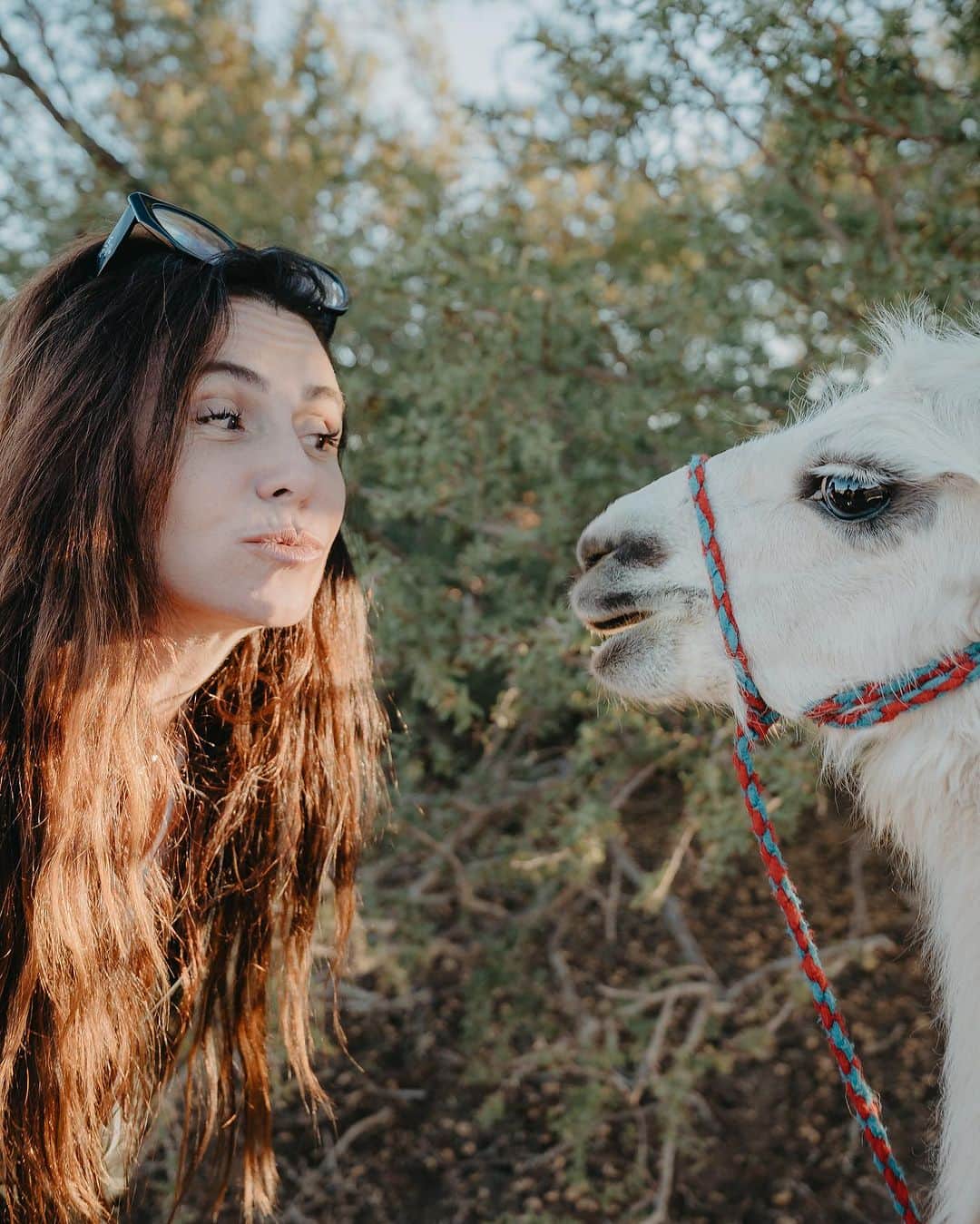 Giovanna Antonelliのインスタグラム：「Tutorial de como conquistar uma lhama em 4 fotos  💕😂」