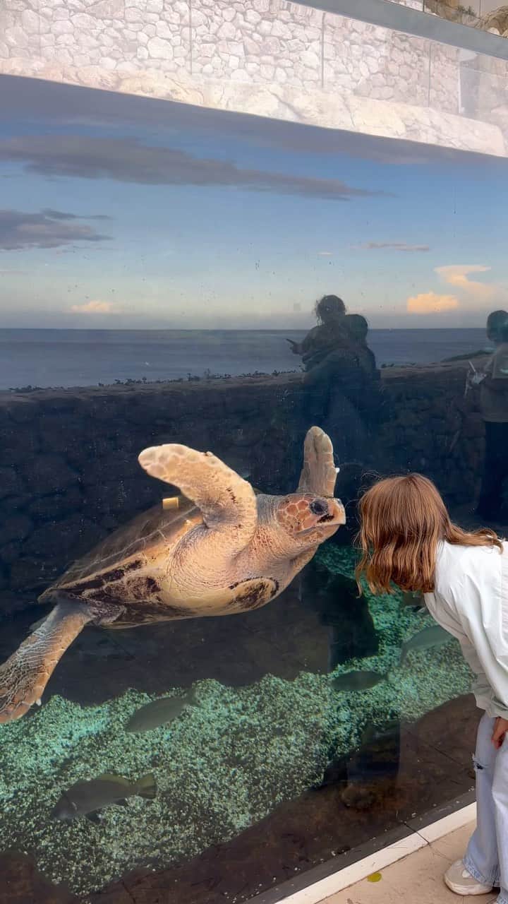 エレナ・ペルミノヴァのインスタグラム：「Hey there 🐢」