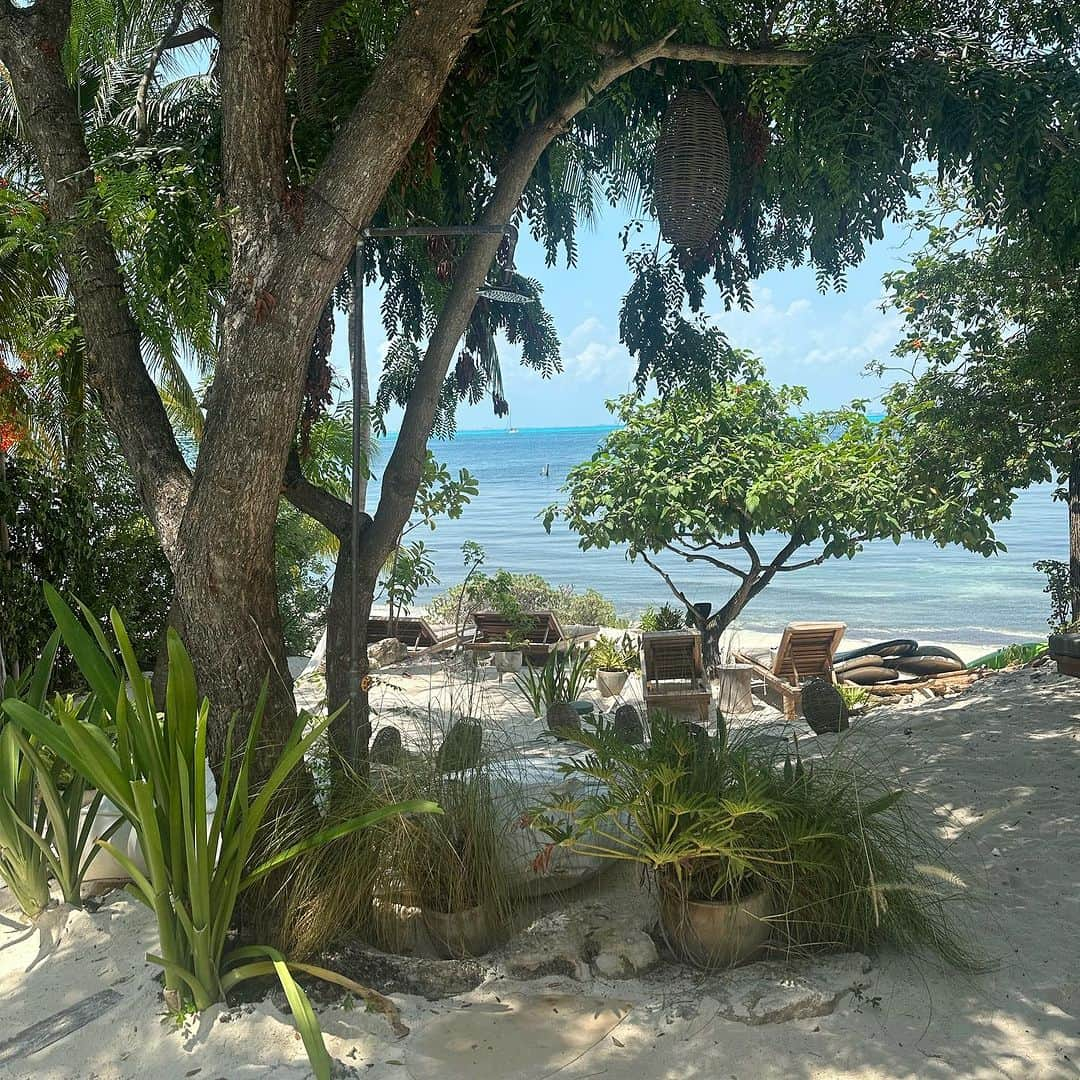 ブリトニー・パーマーさんのインスタグラム写真 - (ブリトニー・パーマーInstagram)「Paradise found on Isla Mujeres! 🌴🌊  #IslaMujeresMagic #IslandVibes」8月13日 1時53分 - brittneypalmer