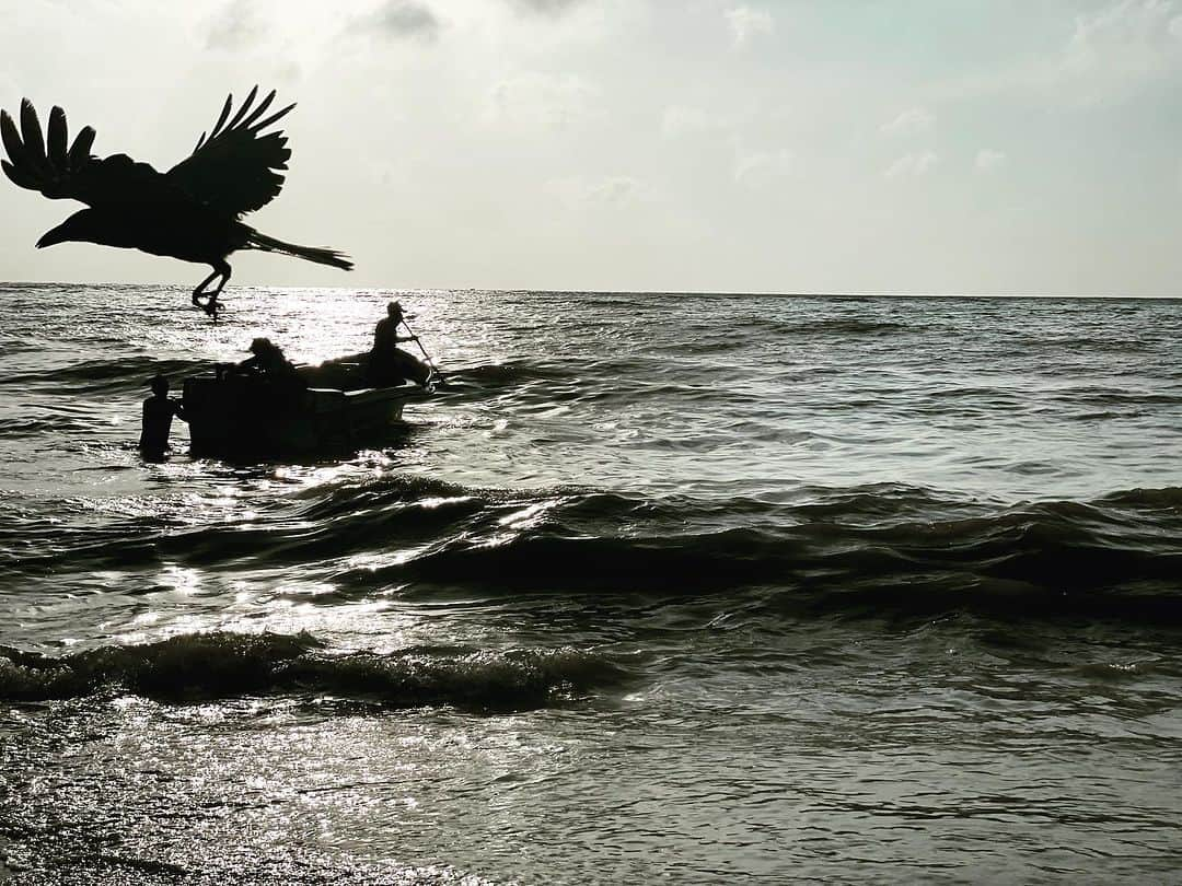 ステファノ・カルーゾさんのインスタグラム写真 - (ステファノ・カルーゾInstagram)「Ever found yourself fleeing from challenges, only to realize they're still tagging along? Maybe they're not as troublesome as they seem. Jetting across the globe has a way of reshaping our view of true problems. Grateful for this chance, I'm kicking off the Rickshaw run tomorrow, all for a charitable cause. Join my friends and me as we embrace this thrilling journey. Stay tuned for the ride of a lifetime! 🛺 🇱🇰  #SriLanka #Colombo #RickshawRun #TheAdventirists #KimMattStefJourney#RickshawRiot #GlobetrottingLaughs #TrioTales #JourneyTogether #KimMattStef #ReunionInSriLanka #Monsoon_gliders #HaveFaithHaiti #CiaoBelli」8月13日 4時19分 - stef_caruso