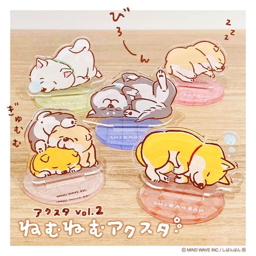 オオゴシヤステルのインスタグラム：「🥱ねむねむアクスタ😪  アクリルスタンド第2弾！ 「ねむねむアクスタ」💤  ご紹介が遅くなってしまいましたが、 催事限定で現在『大阪ルクアイーレ』と『ルミネ池袋』にて店頭に並んでおります〈ฅ `ᴥ´ ฅ〉  ブラインド仕様なので何が出るかはお楽しみ…♪  ※在庫に関しては店舗にお問い合わせください🙏  ごろごろばんばんマルシェ #マインドウェイブ #mindwave #しばんばん #shibanban #微笑柴犬 #むちころばんばん #muchicorobanban #オオゴシヤステル #柴犬 #しばいぬ #shibainu」