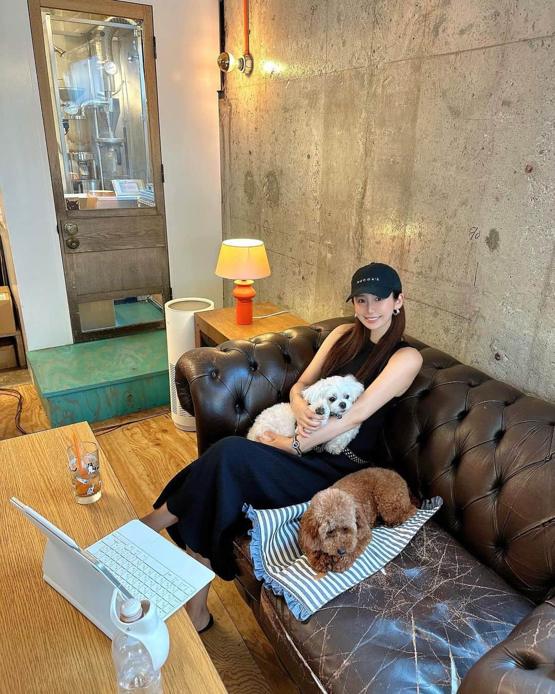 のインスタグラム：「お盆中は お仕事したり ワンTimeしたり…マイペースに過ごしています🐻🐻‍❄️🫶🏻  2枚目のモコちゃんの動画 お外にいるのが 嬉しそうで あっちを見たりこっちを見たり ずっとニコニコする姿にホッコリ☺️♡  シーくんの ワンパクな笑顔にも 沢山の元気をもらっています♡  お盆中 お仕事の方もお休みの方も 素敵な時間が過ごせますように🪽  #保護犬を家族に  #ずっとの家族」