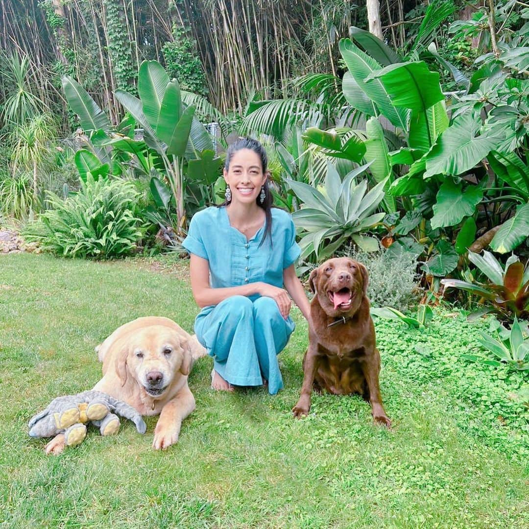 森泉のインスタグラム：「Photo shoot at my house in Chiba with Noah and Bear💚」