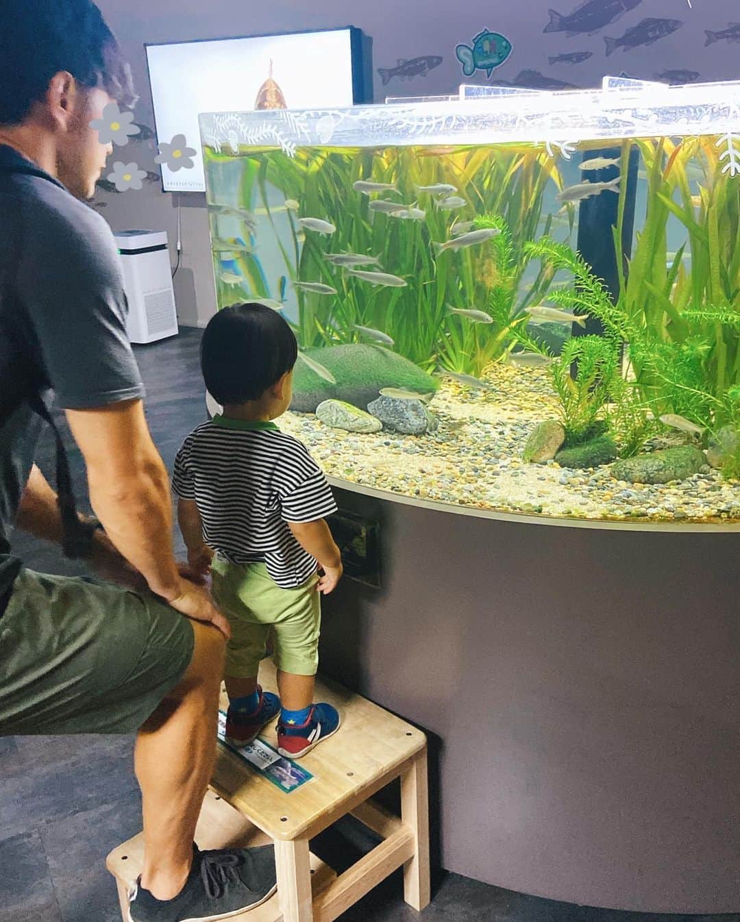 黛英里佳さんのインスタグラム写真 - (黛英里佳Instagram)「⁡ ⁡ どこに行っても暑いので、水族館に行ってきました🐠 ⁡ ⁡ 1年前に水族館に行った時はぽけーっとしていただけでしたが(笑) ⁡ ちゃんとお魚を認識して楽しめていて成長したなぁと😂 ⁡ ⁡ カピバラさんには怖くて触れなかったけど、お魚の説明のタッチパネルに1番興味津々でした(笑) ⁡ ⁡ 2枚目の私は一体何をしているんでしょうか😇 ⁡ #水族館 #お出かけ #子連れ #子連れ水族館」8月13日 14時43分 - erikamayuzumi_official