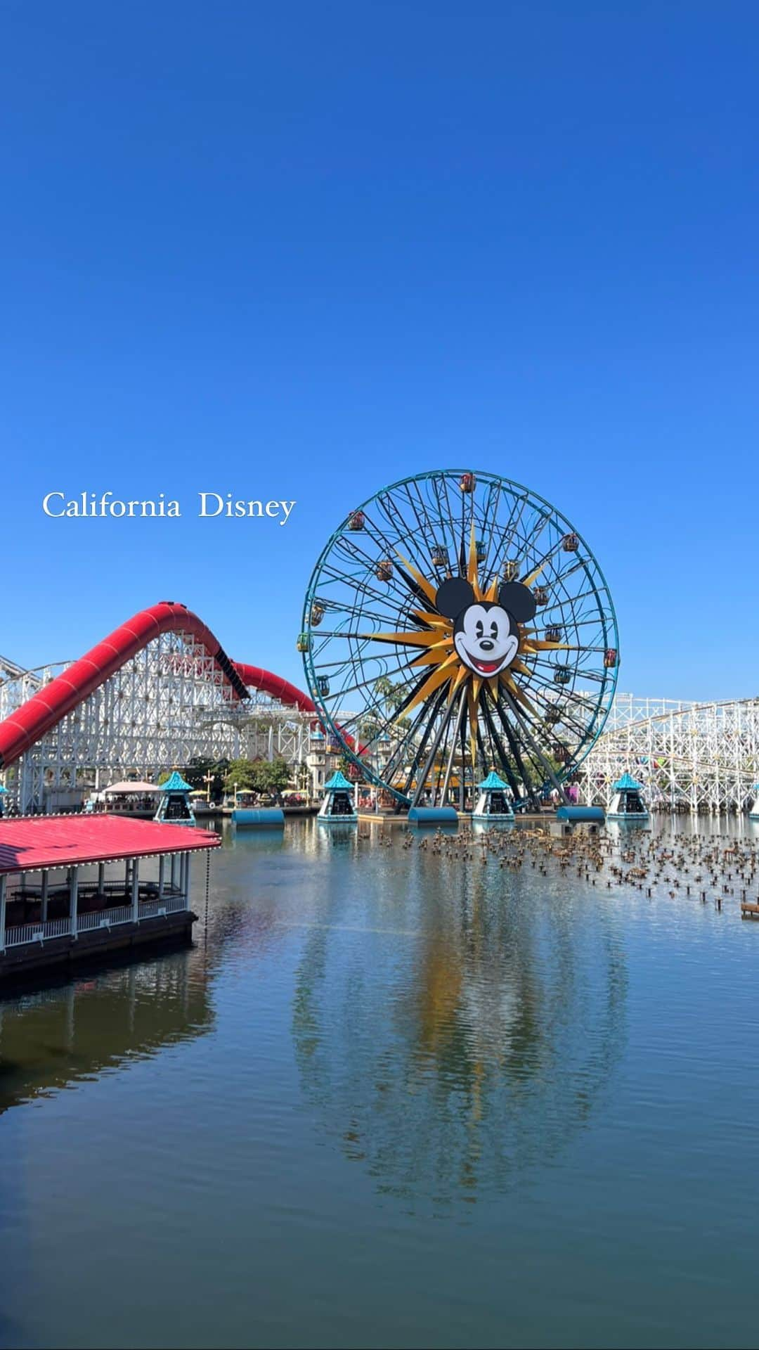 青木玲緒樹のインスタグラム：「🐭🎡🎢♡  #californiadisney #californiadisneyland #californiaadventure #losangeles #california #anaheim #anaheimdisney #カリフォルニアディズニー#カリフォルニアディズニーランド#カリフォルニアディズニーアドベンチャー#ロサンゼルス#カリフォルニア#アナハイム#アナハイムディズニー」