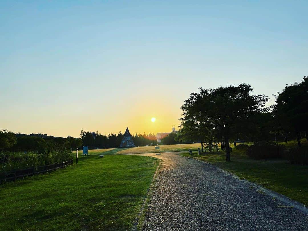 井上侑さんのインスタグラム写真 - (井上侑Instagram)「おはようさんさん 太陽さん🌞  朝ほんの少しでも光を浴びて 緑の中を歩けたら なんて幸せなんざんしょ。  素敵な一日を…🌿  #sunday #sun  #park #green #morning #太陽燦々」8月13日 7時40分 - yuinouehappy