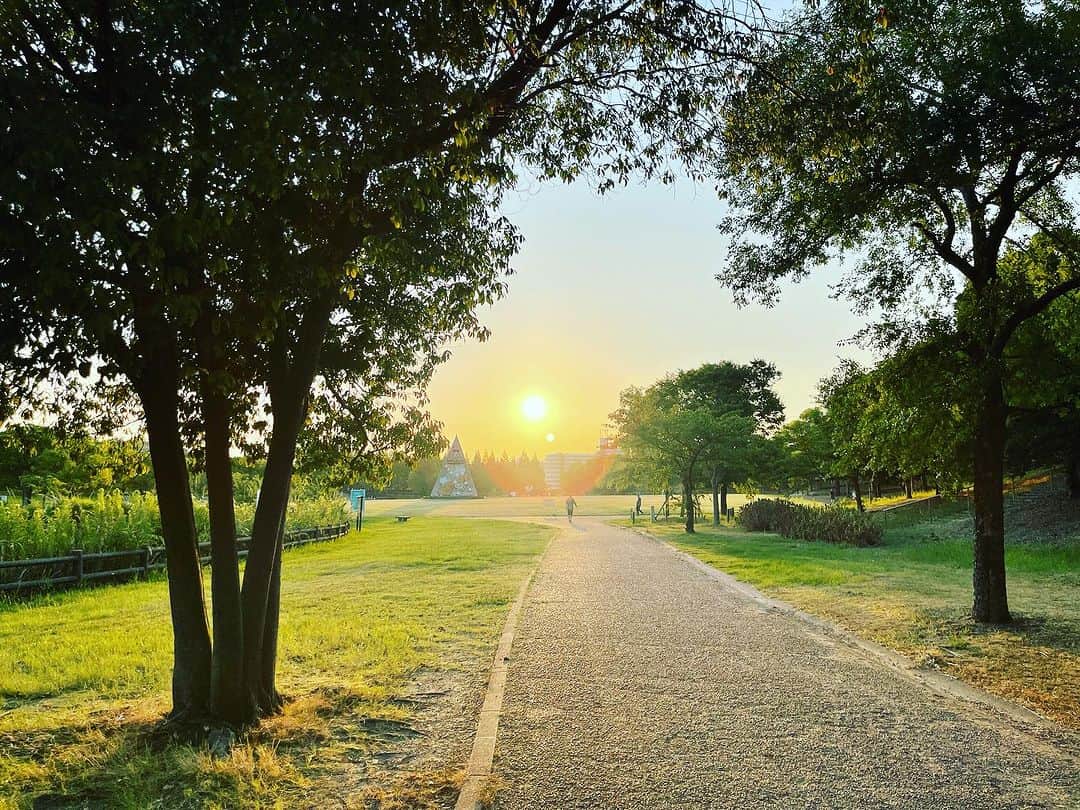 井上侑のインスタグラム：「おはようさんさん 太陽さん🌞  朝ほんの少しでも光を浴びて 緑の中を歩けたら なんて幸せなんざんしょ。  素敵な一日を…🌿  #sunday #sun  #park #green #morning #太陽燦々」