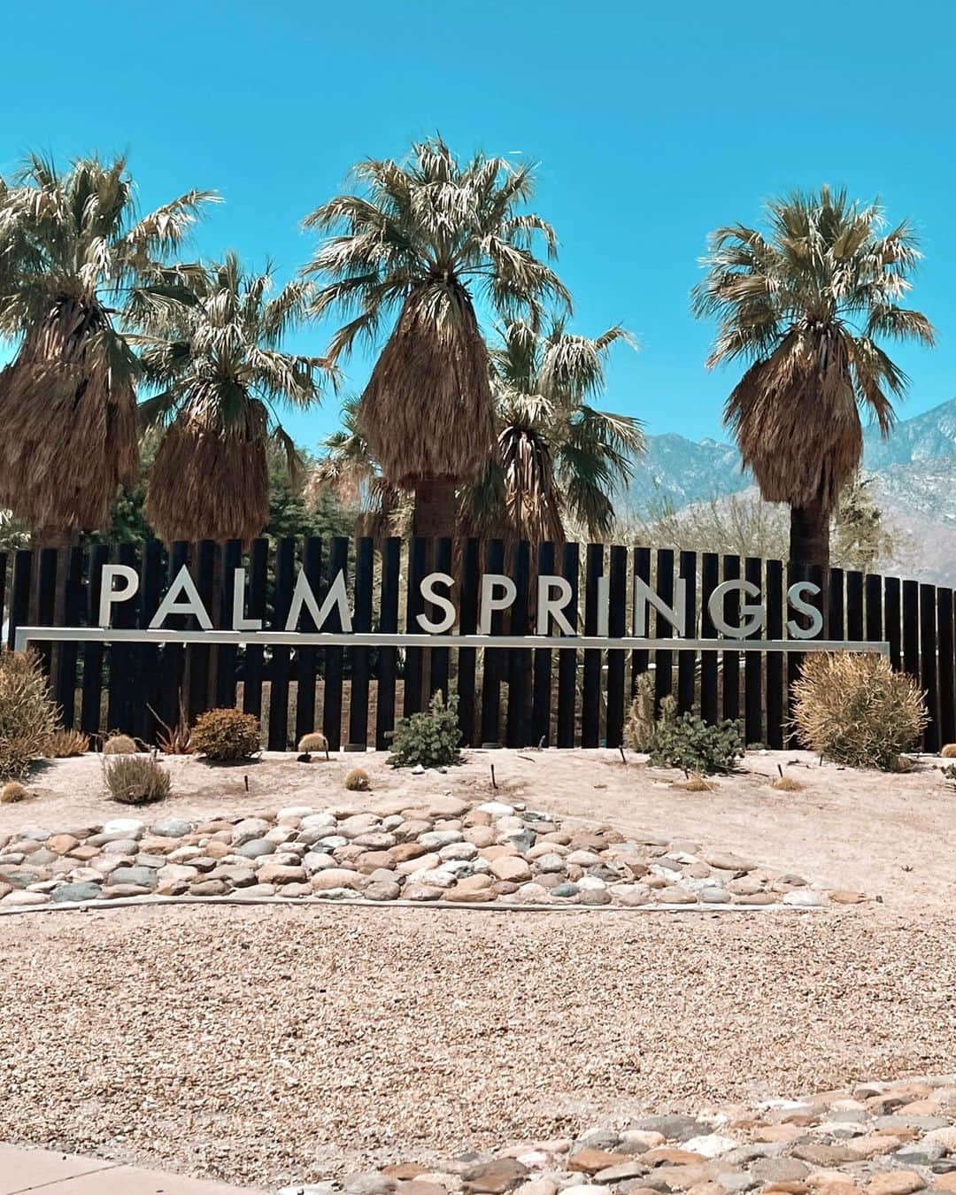 GENKINGのインスタグラム：「desert oasis🏜️✨ for the first time in 7 years🥹  私の思い出が沢山詰まってるpalm springs✨ 4.5枚目の私は7年前😂 少しは大人っぽくなったでしょ🥰 あんま変わらん❓😂😂😂」